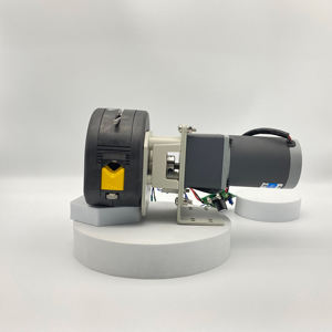 액체 샘플링 연동 투여 펌프 6L/min <span class=keywords><strong>DC</strong></span> 모터 DC12V DC24V 액체 샘플링 먹이 작은 연동 펌프 - Product Image 2