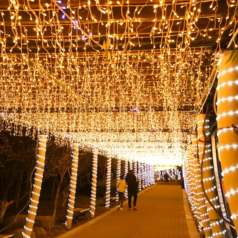 Bande lumineuse led de noël pour fête de mariage, éclairage de paysage, décorations d'extérieur, jardin, étanche