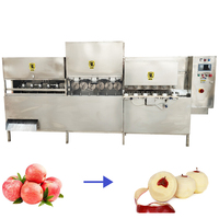 Hoge Snelheid Automatische Fruitschilmachine/Citrus Appel Sinaasappel Snijder Apparatuur Voor Commerciële
