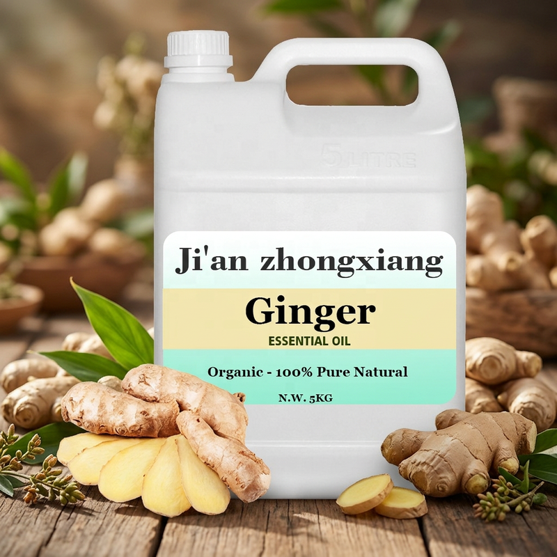 Ginger Essential Oil 100 Pure Organic
