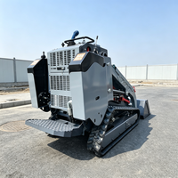 Chargeuse compacte équipée d'un système hydraulique à triple cylindre et double flux pour les travaux d'aménagement paysager, le déneigement et le chargement