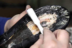 ตัวเพิ่มความแข็งตัวทำความสะอาดไพรเมอร์ PU และกาว<span class=keywords><strong>รองเท้า</strong></span> - Product Image 3