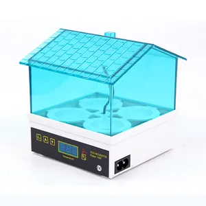 China Mini-Solar-Vollautomatik 110 V/220 V 4 Hühner-, Ent-, Gänseeier-Inkubatoren Brutmaschine