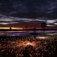 Fibre Optique Fleur Reed Lumières Nouveau Jardin Cour Parc Décoration Fibre Optique Lumière