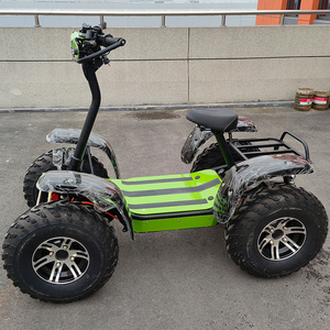 Scooter électrique <span class=keywords><strong>tout</strong></span>-<span class=keywords><strong>terrain</strong></span> à 4 roues Big Body, puissance de montagne 6000W, batterie en option - Product Image 2