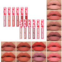 Collection de baume à lèvres à formule personnalisée Kit de brillant à lèvres dodu et brillant à longue durée avec des couleurs riches et variées (rose)