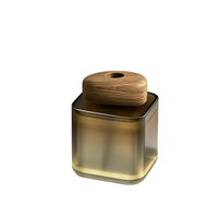 Diffuseur de parfum en verre de 50 ml, écologique et sans alcool, parfum longue durée, décoration luxueuse pour la maison