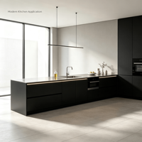 Meuble de cuisine modulaire en acier inoxydable 304 noir laqué mat sans poignée avec évier intégré, éclairage LED et four encastré linéaire