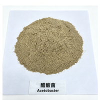 Acetobacter 10 milliards UFC/g Poudre de bactéries acétiques pour la fermentation du vinaigre alimentaire, Acétification industrielle Shandong