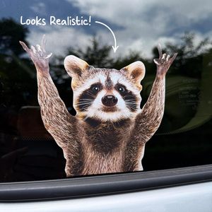 GRITKULTURE <span class=keywords><strong>Autocollant</strong></span> amovible en vinyle de 7 pouces, motif raton laveur en train de basculer, drôle, mignon, pour pare-chocs, <span class=keywords><strong>voiture</strong></span>, camion, ordinateur portable, mur, fenêtre -Zero - Product Image 2