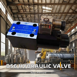 โซลินอยด์ไฮดรอลิก 12V 24V รุ่นใหม่ DSG-01  DSG013C2 DSG013C60 DSG3C DSG-01-3C2-D24-N1-51T DSG-01-3C2-D24-N1-50 - Product Image 2