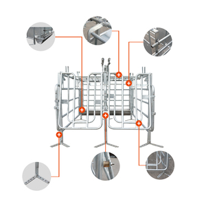 Équipement d'élevage porcin personnalisable de haute qualité Caisse de gestation porcine galvanisée à chaud - Product Image 1