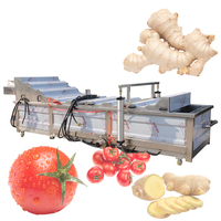 304 roestvrijstalen groentereinigingsmachine Bladwortelgroente Ozonsterilisatie Zeezout Bubble Washning-apparatuur