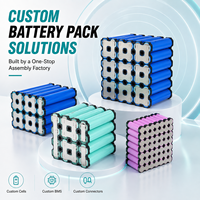Pack de batteries au lithium personnalisé 36V 48V 60V 72V pour tondeuse à gazon, tondeuse autoportée, tondeuse zéro-turn, équipement d'extérieur OEM ODM