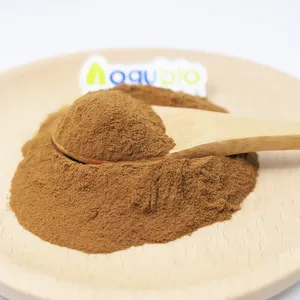 Aogubio nhà máy giá chất lượng cao hương thảo bột hương Thảo Chiết Xuất rosmarinic axit 20% hương thảo chiết xuất bột