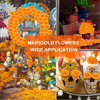 Fleurs artificielles réalistes pour Halloween : mini-gaillards, œillets et lilas de 6 cm et 9 cm de diamètre, longue durée, pour célébrations festives