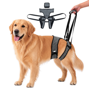 Arnés de Soporte para Patas Traseras de Perros Grandes, Ajustable, para Rehabilitación de Perros Mayores o con Discapacidad - Product Image 1