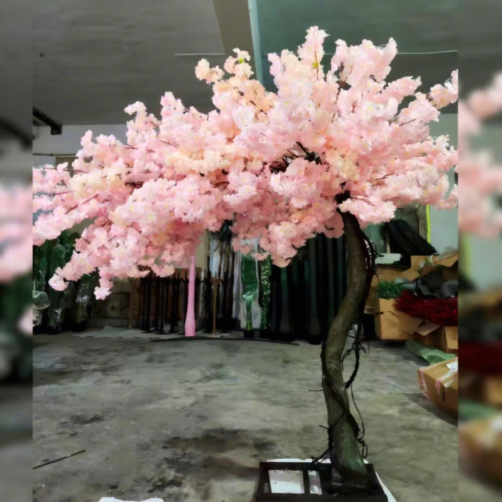Cherry Blossom Tree 11