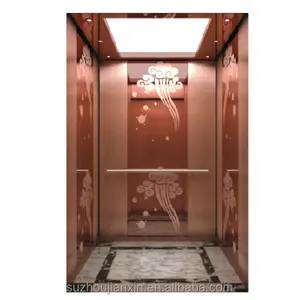 Lift 4 Mensen Gebruik Liften Lift Passagier Luxe Villa Hot Koop China Residentiële Outdoor Marmeren Staal Pvc Roestvrij Monarch