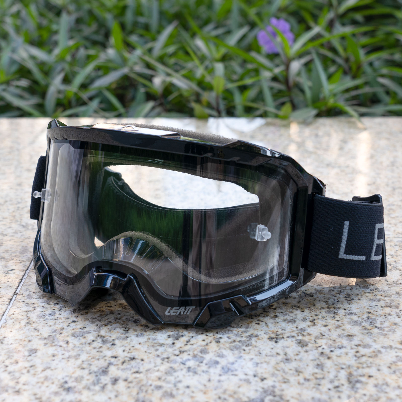 กรอบดำ / เลนส์ใส