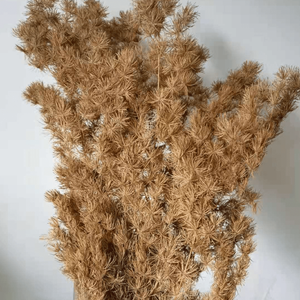 Mazzo di Fiori di Felce Ming Conservata da 80 Grammi per Decorazioni di Matrimoni, Casa e Feste in Ufficio - Product Image 6