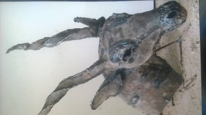 Escultura de Madera Africana Hecha a Mano, Estatua Tribal Tradicional, Decoración para el Hogar, Arte - Product Image 6