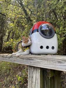 Free Sample Dual Expandable <b>Cat</b> <b>Backpack</b> <b>Carrier</b>, Fit up to 20 lbs, Expandable Pet <b>Carrier</b> <b>Backpack</b> for Large Fat <b>Cat</b> and Small - Product Image 4