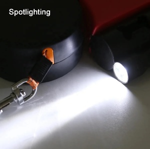 Ingrosso cinturino al guinzaglio in Nylon doppio Pet con Dispenser e guinzaglio per cani senza grovigli di luce - Product Image 3