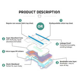 Xxxl Pañales para adultos <span class=keywords><strong>Dodot</strong></span> Pañales para adultos Pañales de natación para adultos - Product Image 2