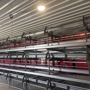 Chất Lượng Cao Lồng Miễn Phí Đặt Hen Lồng Gà Thịt Gia Cầm Thiết Bị Lồng Hai Lớp Gà - Product Image 5