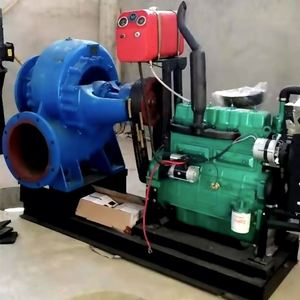 Pompe à haute pression pour moteur diesel OEM, taille personnalisée, débit élevé, pour l'eau et les pompes à incendie, destinée au traitement des eaux usées - Product Image 6