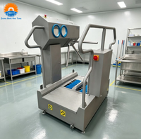 Machine automatique de nettoyage des semelles et des bottes pour l'hygiène, station de désinfection pour abattoirs et usines agroalimentaires avec désinfectant pour les mains