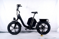 Vélo électrique pour livraison, 750W 48V 50Ah, pneus larges 20x4.0 pouces, vélo électrique avec double batterie, vélo électrique à longue autonomie
