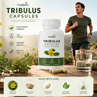 Capsules de Tribulus Botanique Premium – Extrait de Fruit Standardisé, Matière Première pour la Production de Marques