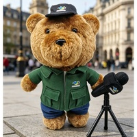 Peluche personnalisée, personnalisation d'animaux en peluche, peluche sur mesure, jouet en peluche personnalisé, animaux en peluche à personnaliser, poupée en peluche de 10 cm