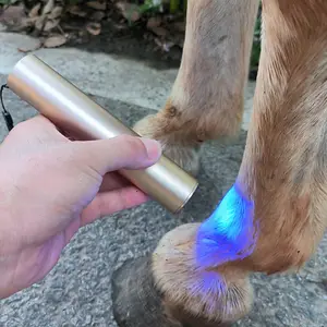 Torche à lumière rouge bleue 460nm 850nm 660nm torche à LED infrarouge proche stylo de thérapie par la lumière infrarouge pour la luminothérapie de la douleur du cheval