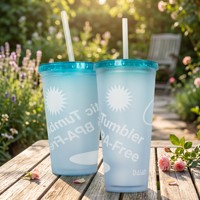 Gobelet givré réutilisable écologique personnalisé, double paroi, sans BPA, léger, OEM ODM, vente en gros, 16oz, directement de l'usine