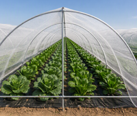 Filet anti-insectes blanc, filet en maille pour serre, légumes, jardin, protection des plantes, barrière respirante contre les ravageurs