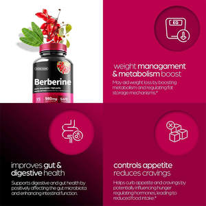 OEM Organic Berberine <span class=keywords><strong>HCI</strong></span> Cápsulas 980mg Controle de peso eficaz para adultos Não para mulheres grávidas Adolescentes ou crianças - Product Image 4