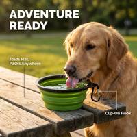 Bol de voyage pliable en silicone multicolores pour animaux de compagnie, pour le camping en plein air, bol pliable portable pour nourriture et eau pour animaux de compagnie