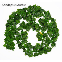 Vevor — fausses vignes imprimées avec écran, vente en gros, 2m, plantes décoratives artificielles, pastèque, raisin, lierre, Scindapsus dorées