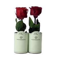 Bouquet de roses éternelles OEM pour la Saint-Valentin et Noël, fleurs préservées avec tiges, cadeaux d'entreprise, rose éternelle