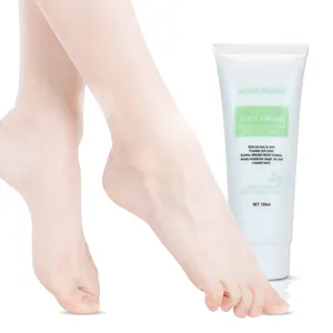 Crème et masque pour les pieds à l'huile d'arbre de thé aux herbes hydratante Marque privée talons fissurés anti-démangeaisons soin des pieds