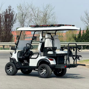 Voiturette de golf électrique certifiée CE/DOT, très populaire, nouveau véhicule de transport personnel à énergie renouvelable, finition aluminium, roues professionnelles - Product Image 1