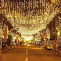 Guirlande Lumineuse Extérieure Mariage Fête Guirlande Lumineuse Glaçon Cascade Décoration Suspendue