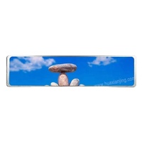 10,11-Zoll-Bar-Typ IPS-LCD-Anzeige feld für Kraftfahrzeuge mit Touchscreen-TFT-Modulen