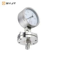 SY YM 60-250mm Barometer Vibration Thread Glycerin Filled Vacuum Diaphragm Pressure Gauge Flange Connection Stainless Steel for