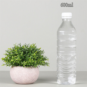 Hot Selling Artificial Succulents <strong>Plants</strong> Mini Artificial <strong>Potted</strong> <strong>Plants</strong> <strong>Small</strong> <strong>for</strong> Office Desk Decoration - Product Image 2