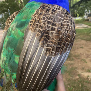 A-258 Elegant Podium Showcase Handgemaakte Gesimuleerde Kleurrijke Veren Pauw Grote Pauw Vogel Voor Tuin Decor - Product Image 4