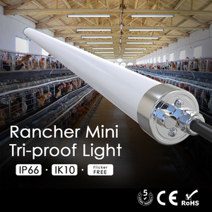 ไฟ LED แบบกันน้ำ Shinelong Rancher Mini Slim ขนาดเส้นผ่านศูนย์กลาง 40 มม. กำลังไฟ 10W 20W 30W รูปทรงแท่ง ขนาดกะทัดรัด IP66 ความยาว 0.6 ม. 1.2 ม. 1.5 ม. - Product Image 1